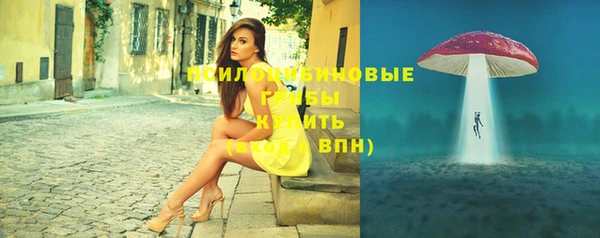 альфа пвп Заводоуковск